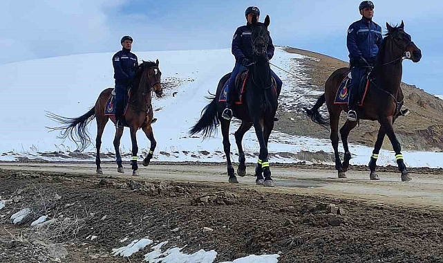 Jandarma Van'da 108 düzensiz göçmen yakaladı