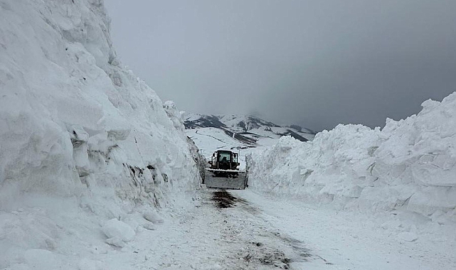 Van'ın Başkale ilçesinde mahalle yoluna çığ düştü