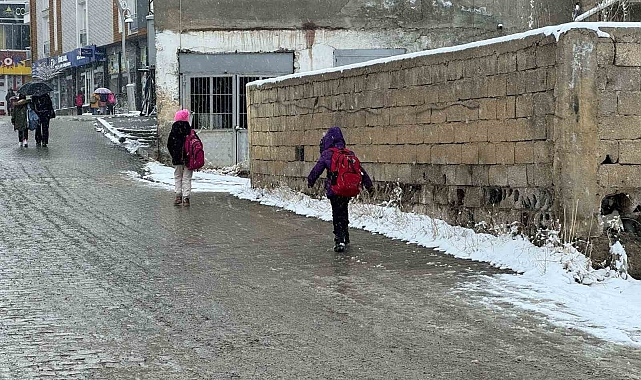 Van'ın Başkale'de kar yağışı etkili oldu