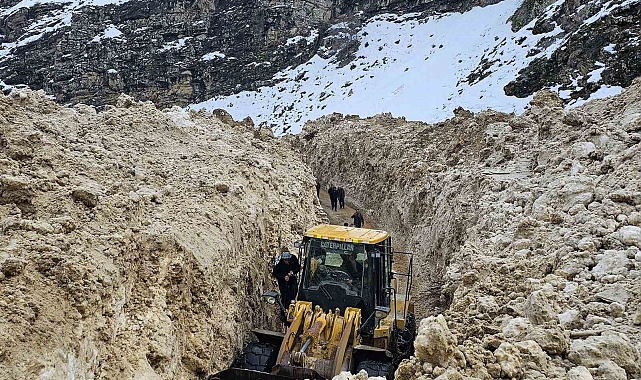 Van'ın Çatak ilçesinde çığlar düşmeye devam ediyor