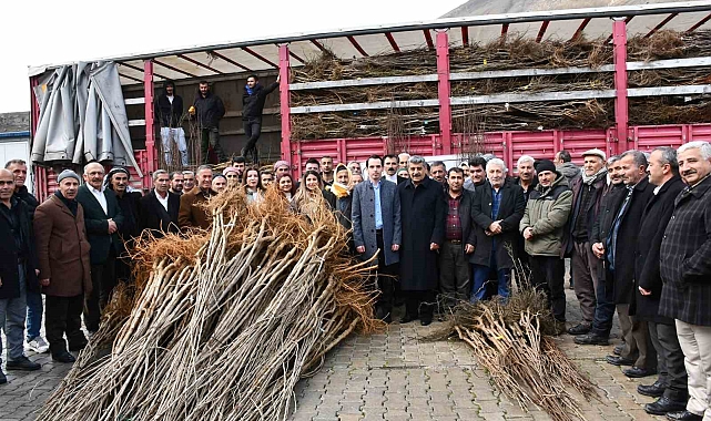 Van'ın Çatak İlçesinde Fidan Dağıtımı Yapıldı