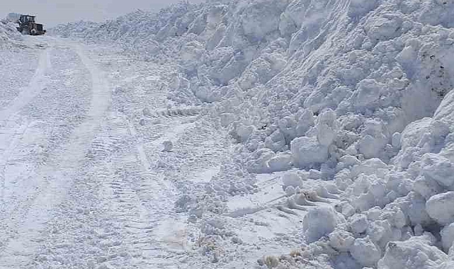 Van'ın Muradiye ilçesinde kar ve tipiden kapanan yollar ulaşıma açıldı