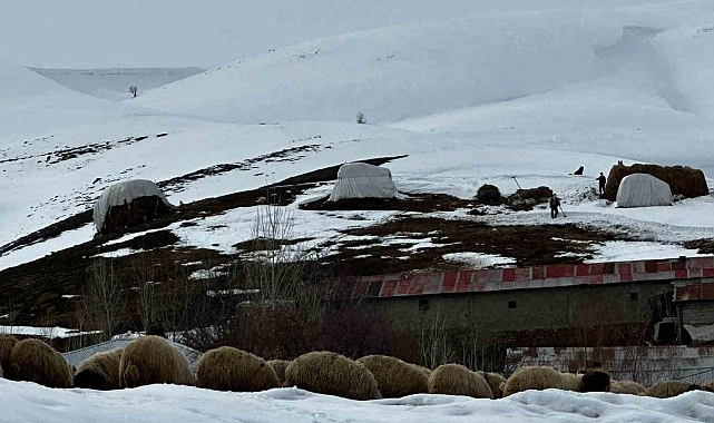 Yüksekova'da çiftçilerin kış zorluğu devam ediyor