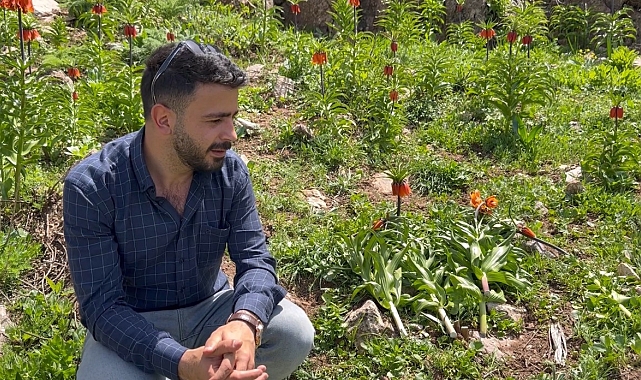 20 günlük ömrü olan çiçeği bıçakla kestiler