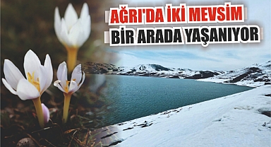 Ağrı'da iki mevsim bir arada yaşanıyor