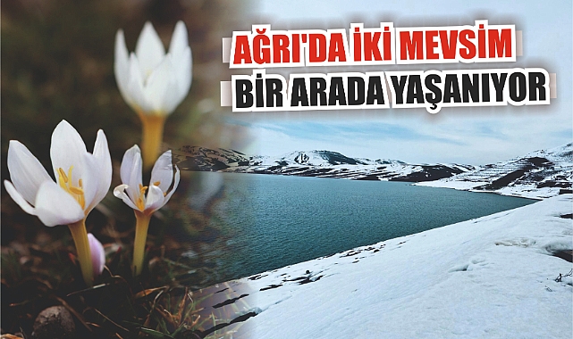 Ağrı'da iki mevsim bir arada yaşanıyor