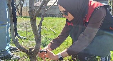 Ağrı’da meyve bahçelerinde budama çalışmaları başladı