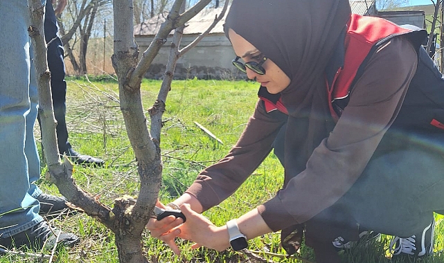 Ağrı’da meyve bahçelerinde budama çalışmaları başladı