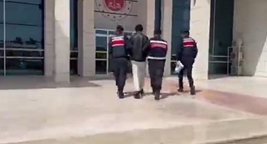 Ağrı'da terör operasyonu düzenlendi (videolu haber)