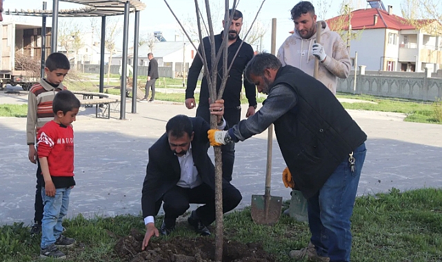 Ağrı Yeşilleniyor