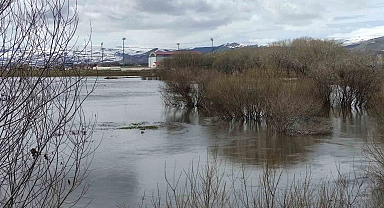 Ardahan sele teslim; nehir taştı, ova göle döndü