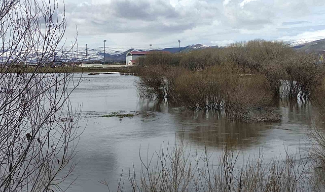 Ardahan sele teslim; nehir taştı, ova göle döndü