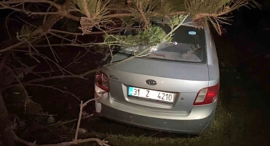 Ardahan'da yoldan çıkan otomobilin sürücüsü yaralandı