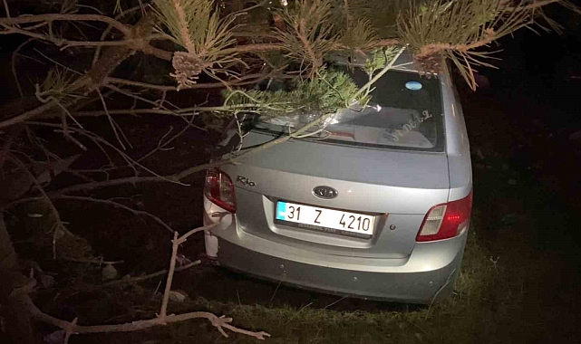 Ardahan'da yoldan çıkan otomobilin sürücüsü yaralandı