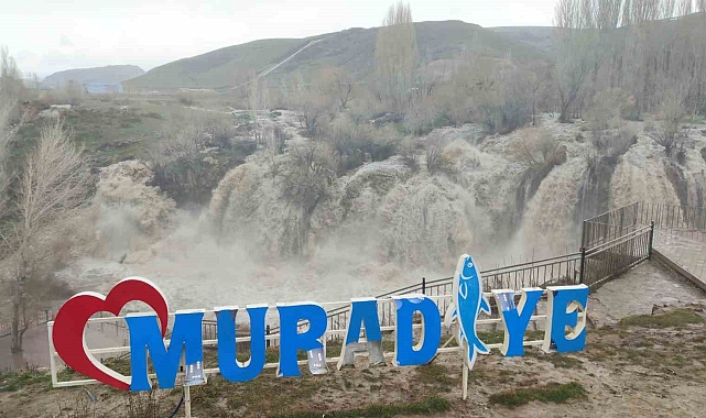 Artan akarsu Muradiye Şelalesini coşturdu