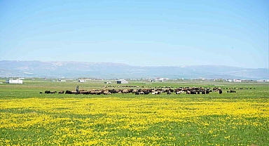 Aylık 40 bin TL'ye Çalıştırılacak Eleman Aranıyor