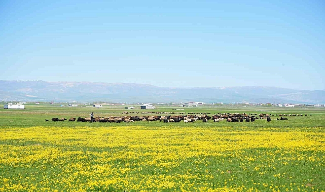 Aylık 40 bin TL'ye Çalıştırılacak Eleman Aranıyor