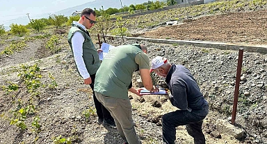 "Bağ Küllemesi Hastalıkları" yüzde 90 verim kaybına yol açabilir