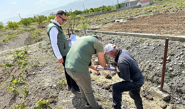 "Bağ Küllemesi Hastalıkları" yüzde 90 verim kaybına yol açabilir