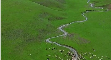 Bahar'ın En Güzel Görsellerinden Biri Kare; Bingöl