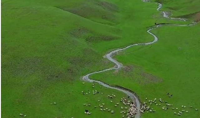 Bahar'ın En Güzel Görsellerinden Biri Kare; Bingöl