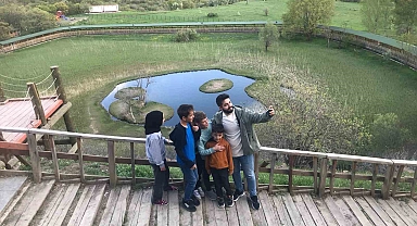 Bingöl'ün doğa harikası yüzen adalar yaz aylarıyla birlikte yeşile büründü