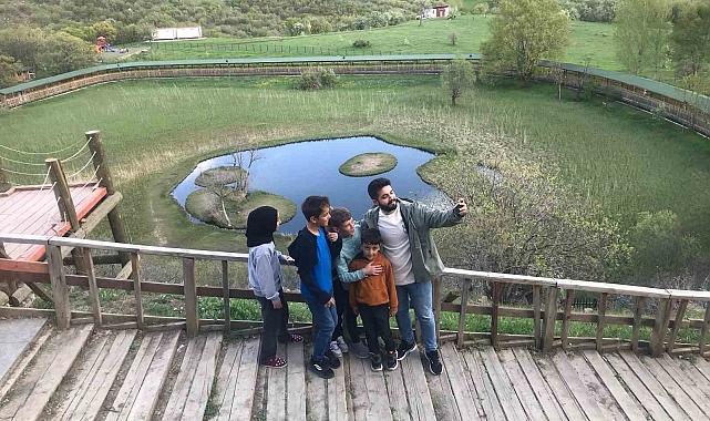 Bingöl'ün doğa harikası yüzen adalar yaz aylarıyla birlikte yeşile büründü
