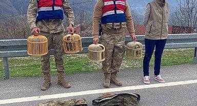 Bitlisli keklik avcılarına 34 bin lira para cezası