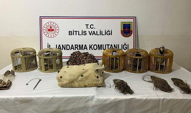 Bitlis'te keklik avlayan 2 kişiye 63 bin lira para cezası uygulandı