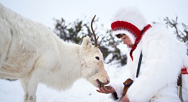 Çalıntı: Netflix'te Yayınlanan İsveç Gerilim Draması En Son Yorumlar ve Bilgiler