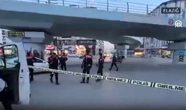 Elazığ'da İki grup arasında çıkan kavga ölümle bitti