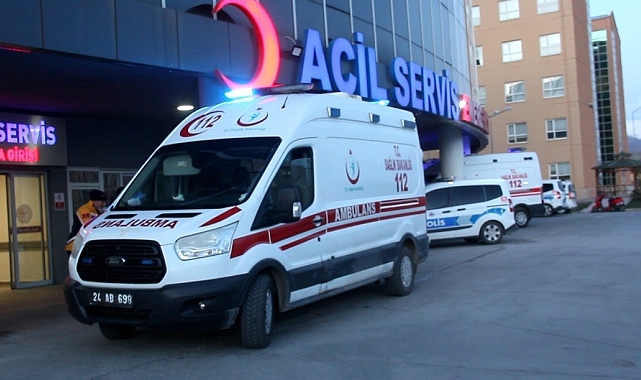 Erzincan'da ayı saldırısına uğrayan 1 kişi yaralandı
