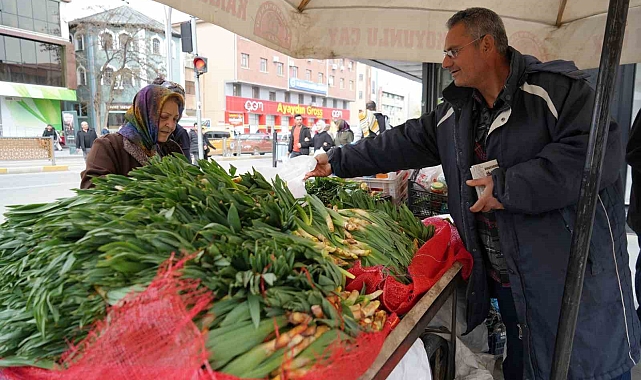 Erzincanda Çiriş Otu Tezgahlarda