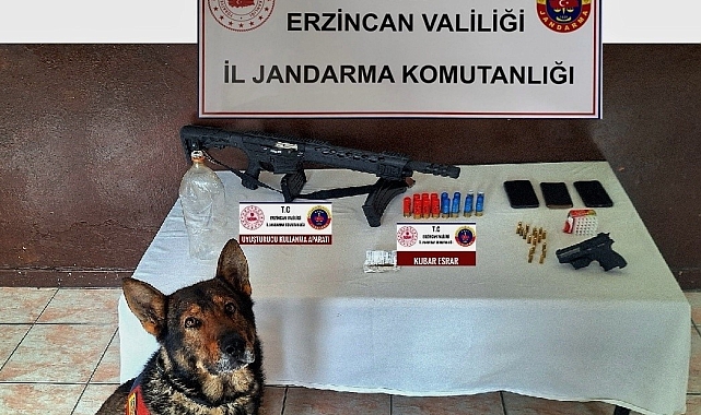 Erzincan'da jandarmanın 1 aylık faaliyeti açıklandı