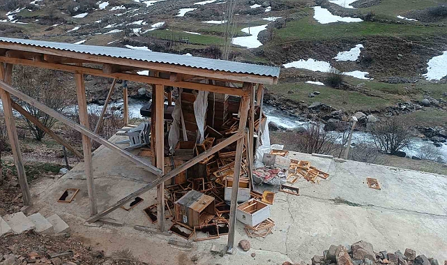 Erzurum'da ayılar arıcılara ait malzemeleri kullanılamaz hale getirdi