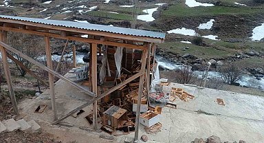 Erzurum'da ayılar arıcılara ait malzemeleri kullanılamaz hale getirdi