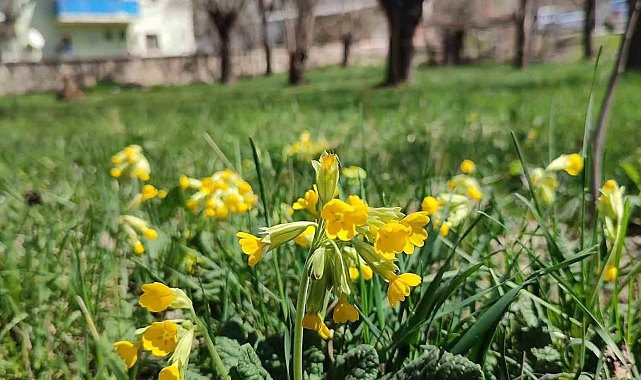 Erzurum'da dört mevsim yaşanıyort