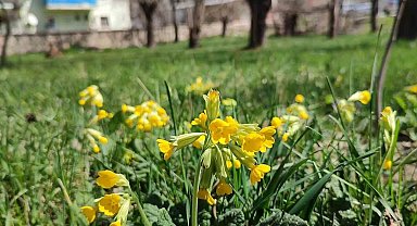 Erzurum'da dört mevsim yaşanıyort