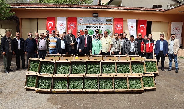 Gümüşhane’de 322 bin 398 sebze fidesi toprakla buluşacak