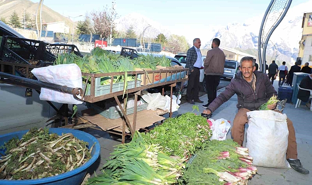 Hakkari'de şifalı bitkilere büyük ilgi