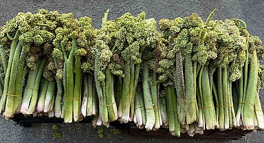 Hakkari'de yayla muzunun destesi 100 TL'den satışa çıkarıldı