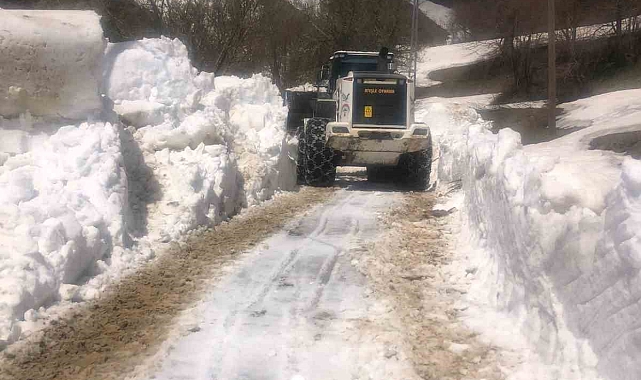 Hakkari'nin Doski Vadisi'nde 5 metreyi bulan karda yol açma çalışması