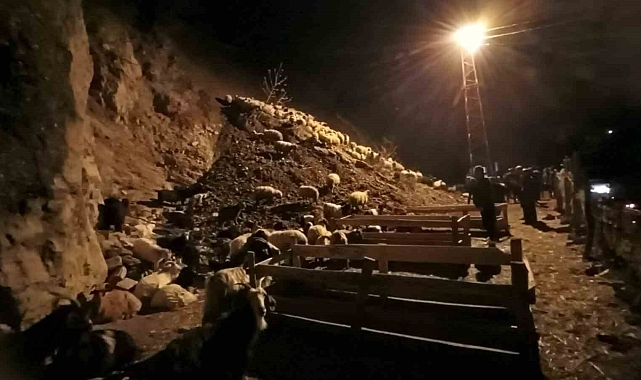 Hakkari'nin Kırıkdağ köyünde toprak kayması