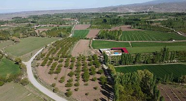 Iğdır'da  dört mevsim bir arada