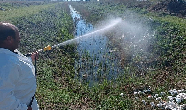 Iğdır'da sivrisinek ve haşerelere karşı ilaçlama