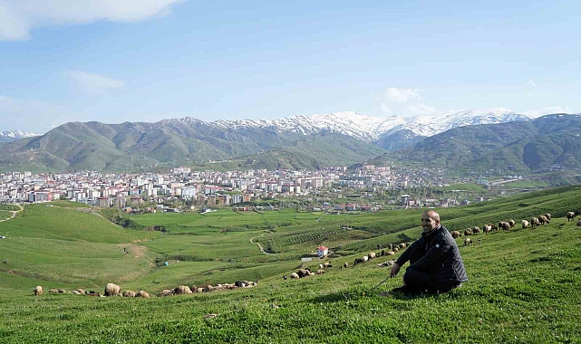 Kavalsız kaval sesi çıkarıyor