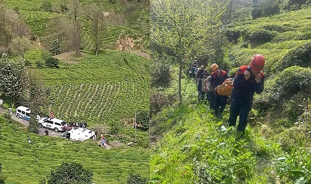 Korkunç kaza! Rize'de iki kadın ağaca çarpan teleferikten düştü