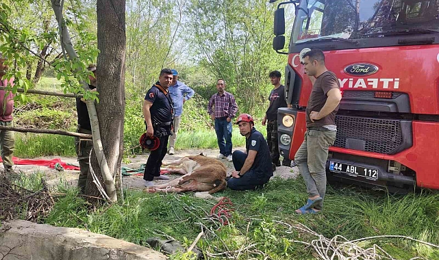 Kuyuya düşen ineği itfaiye kurtardı