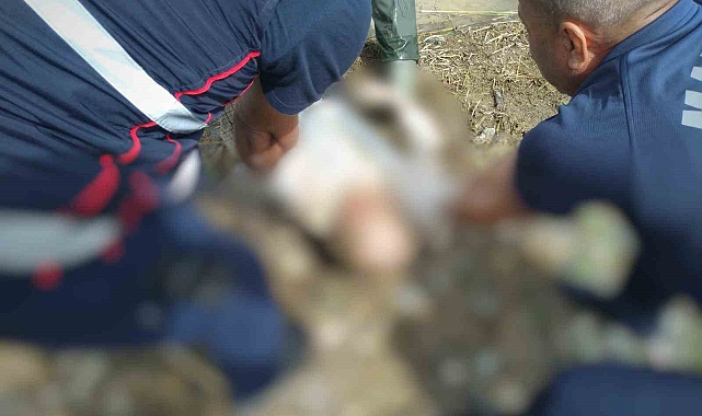 Malatya'da kayıp olarak aranan şahsın cesedi barajda bulundu