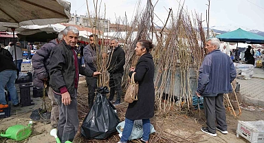 Meyve Fidanları Ekim Zamanı Geldi